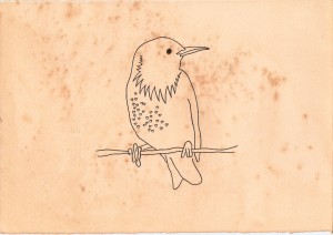 starling no 02